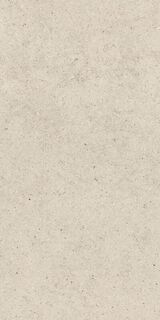 FORUM STONE PURE 60X120
