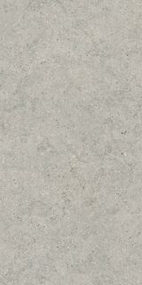 FORUM STONE SILVER 60X120