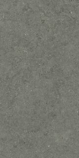 FORUM STONE IRON 60X120
