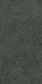 FORUM STONE PETROL 60X120