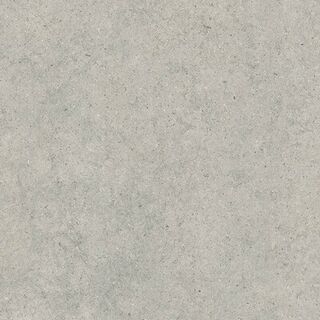 FORUM STONE SILVER 120X120 RET