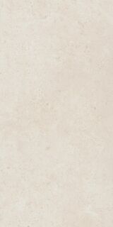 Fossil Pure 60X120 Ret