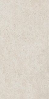 Fossil Pure 60X120 Ret X2