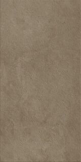 Fossil Desert 60X120 Ret X2