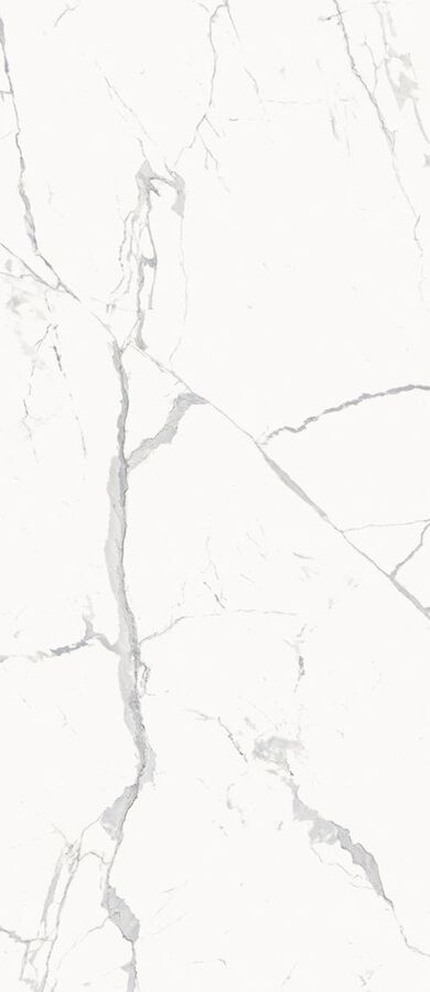 Stellaris Statuario White 120X278