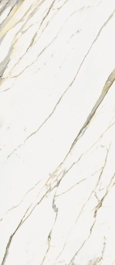 Stellaris Calacatta Gold 120X278