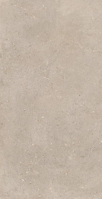 District GREIGE 60X120 R10 RT