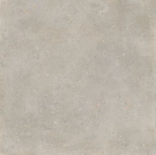 District SILVER 120X120 R10