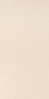 Elements Design IVORY 30X60 RT