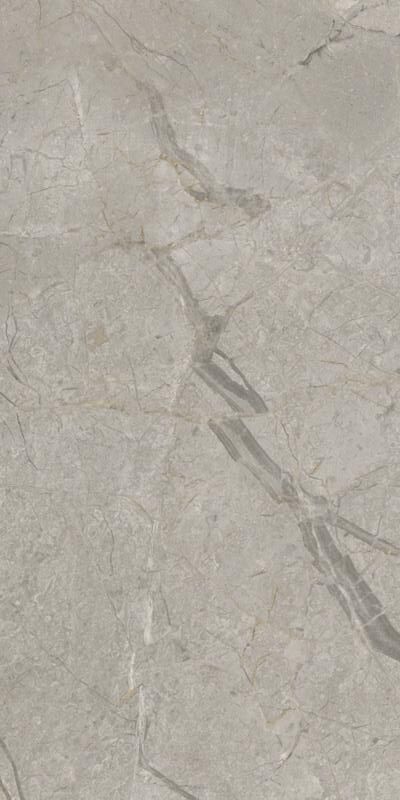 Elements Lux Silver Grey 60X120 NAT