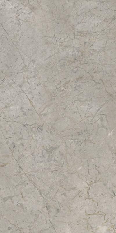 Elements Lux Silver Grey 60X120 Silk 