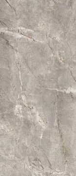 Elements Lux Silver Grey 120X278 Lappato
