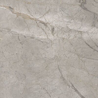 Elements Lux Silver Grey 60X60 Silk 