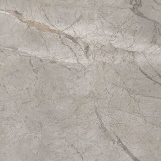 Elements Lux Silver Grey 60X60 Silk 