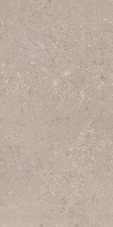 Heritage GREY 60X120X2 SP RT