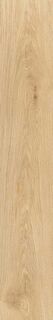 Journey ALMOND 20X120 R9 RT