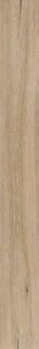 Unica Beige 20X180 R9