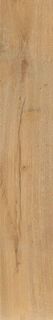 Unica Honey 20X120 R9 RT