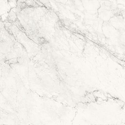 AE CAL6 120 LP 