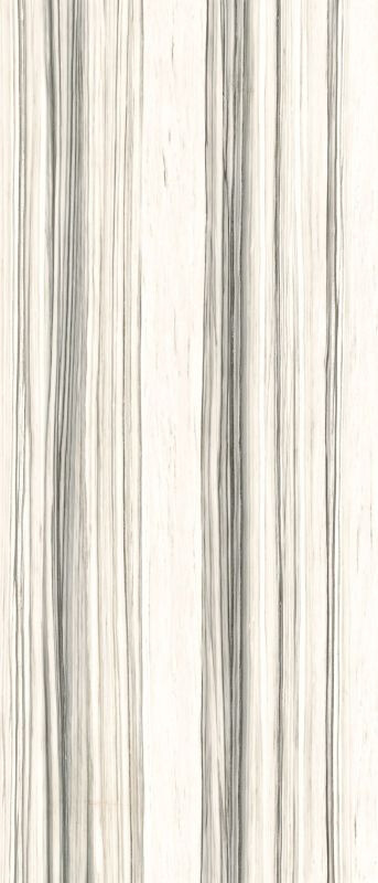 AE ZEB6 278 LP 