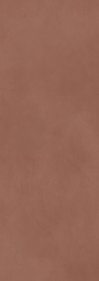 Calce Terracotta 100х300 5