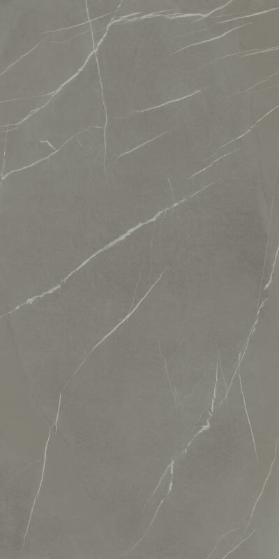 IN-SIDE Pietra Piasentina Grigio 120x300 5+