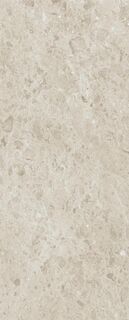 Rare Pietra Di Gre DNA 120x300 5