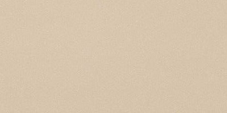 ICON ALMOND 12