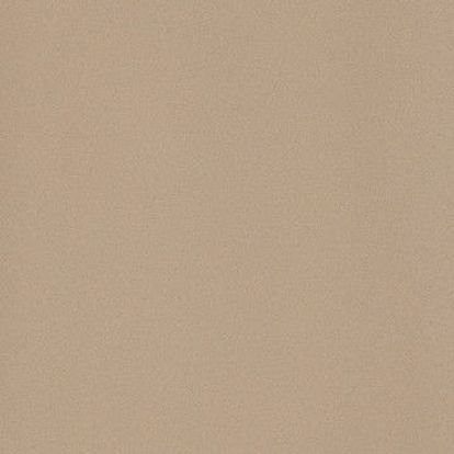 ICON BEIGE 60L