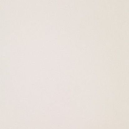 ICON WHITE 60L