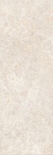 ALCHEMY EARTH/33,3X100/R