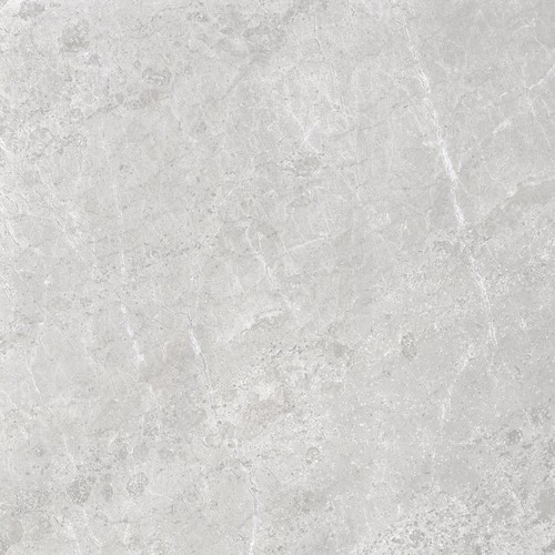 ALPINE GREY SP/100X100/R