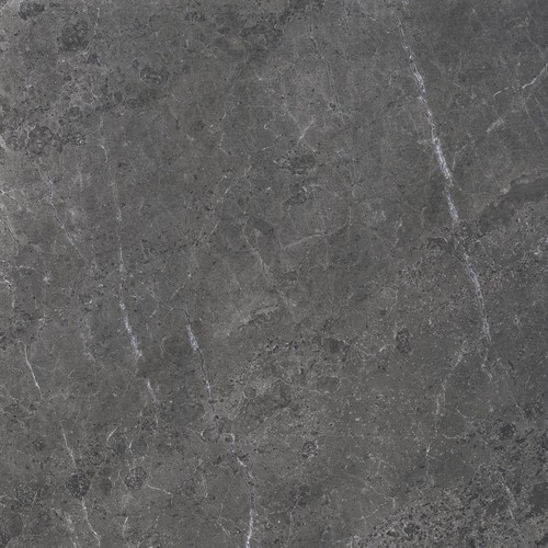 ALPINE ANTH SP/100X100/R