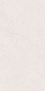 CLUNY SILVER/50X100X2/A/R