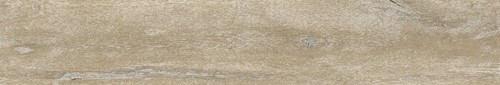 LENK TAUPE AS/24X151/C/R