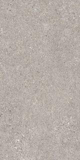 MANHATTAN GREY AS/60X120/C/R
