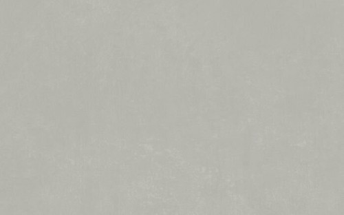 PLANET SILVER SF/45X90/C/R