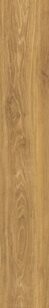 VERBIER HONEY AS/19,5X121,5/C/R