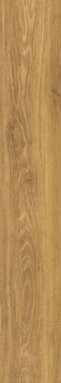 PL.VERBIER HONEY AS/30X151/18/C/R
