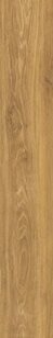 PL.VERBIER HONEY AS/30X121,5/18/C/R