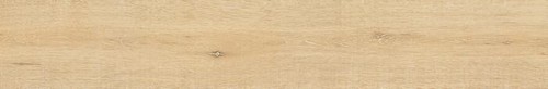 WHISTLER HONEY/24X151/R