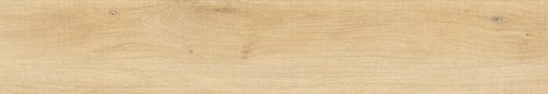 WHISTLER HONEY/24X151/A/R