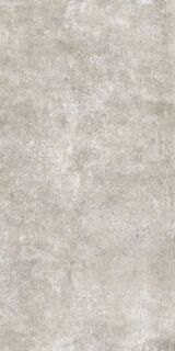 CHARME TAUPE AS/60X120X0,9/C/R