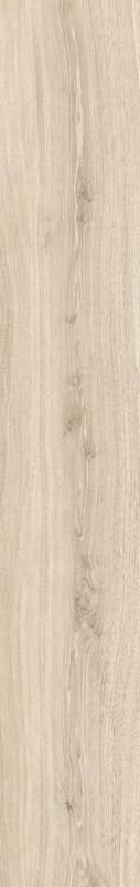 TAOS MAPLE/24X151X0,9/R