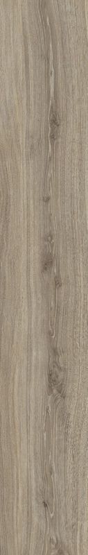 TAOS TAUPE/24X151X0,9/R