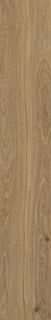 TAOS HONEY/24X151X0,9/R