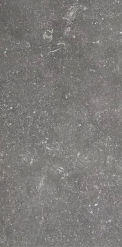 ATMOSPHERES CHARME SABLE R10_B 30X60 R