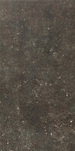 ATMOSPHERES DESIR STRUCTURE R11 60X120 R