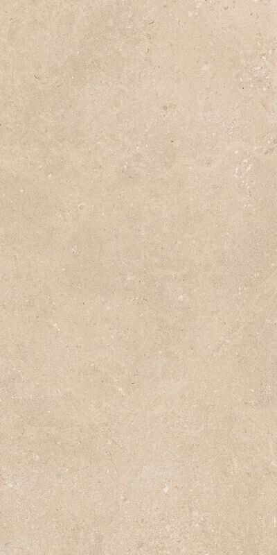 AUTHENTIC LUXE STONE DORDOGNE MATTE LEATHER 60X120 6MM