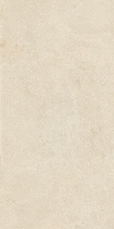 AUTHENTIC LUXE STONE MONTPELLIER MATTE LEATHER 60X120 6MM